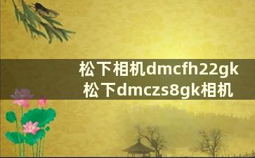 松下相机dmcfh22gk 松下dmczs8gk相机